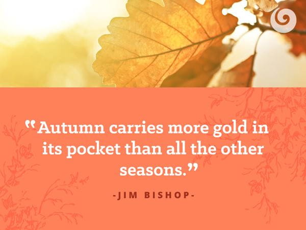 Fall Quote