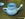 Neti Pot