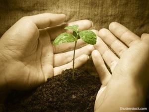 environment-plant-grow-nurture-hands