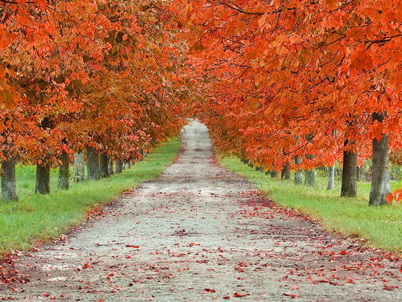 The Spirituality of the Autumn Equinox Fall Equinox 