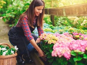 Woman gardening