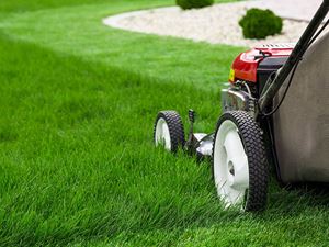 Mowing the Lawn