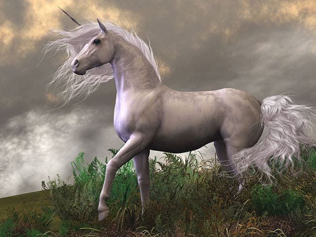 Unicórnio
