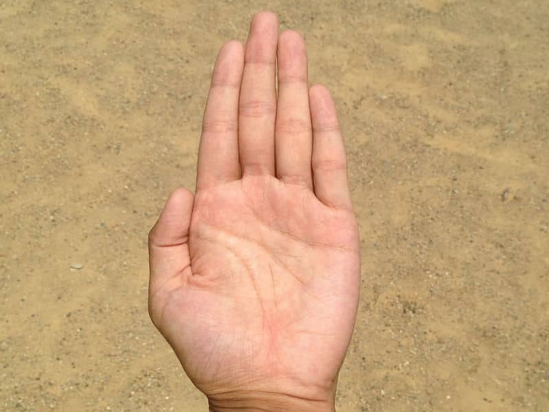 What Does Your Palm Say About Your Personality? - Beliefnet