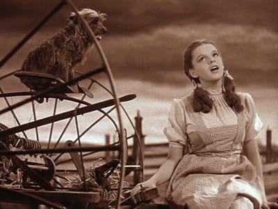 Life Lessons From The Wizard Of Oz Beliefnet