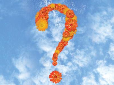 quiztones to ask christians quiztones to ask christians
