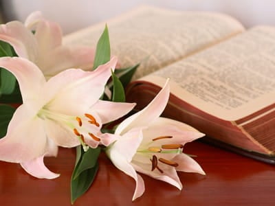 Bible Verses For Holy Week Beliefnet