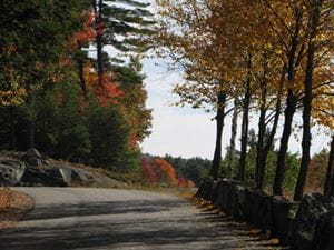 Path in nature autumn