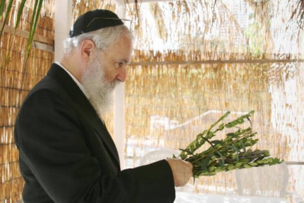 Welcoming Sukkot By Barbara Barnett High Holidays 