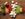 fresh vegetables