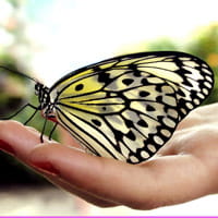 8 Ways to Help Your Bipolar Loved One Cope