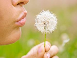 Woman blowing dandelion