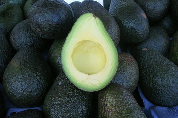 Avocado Love