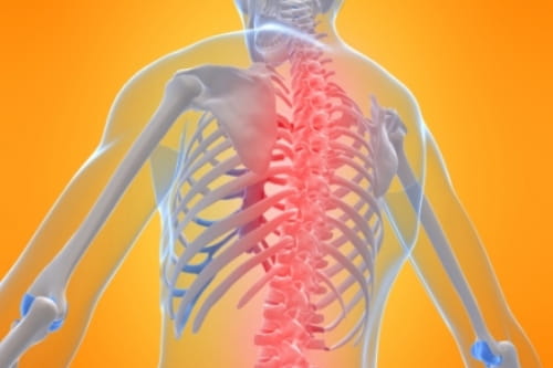 The Mis-education of MS