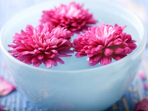 Peaceful bowl of flowers