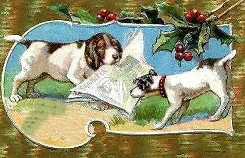 Sweet Animal Christmas Cards - Beliefnet