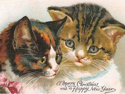 Sweet Animal Christmas Cards - Beliefnet