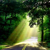 10 Ways to Bring the Sacred into Everyday Life