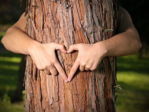 7 Ways To Meditate To Connect With Your Angels And Deceased Loved Ones