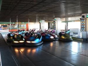 Bumper Cars