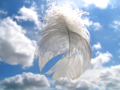 White feather against blue sky