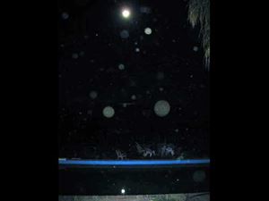 Angel spirit orbs pictures