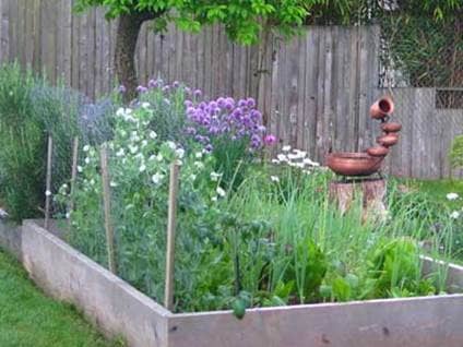 No Green Thumb Heres Help By Maureen Pratt l Gardening Tips l How to ...