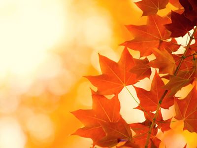Autumn Quotes Leaves Autumn Quotes Leaves