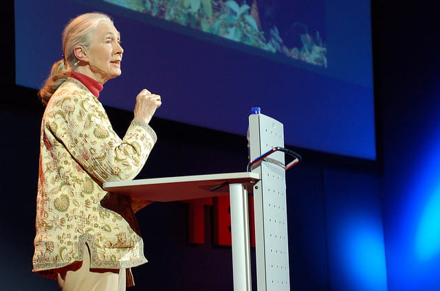 hope for animals and their world by jane goodall hope for animals and their world by jane goodall