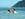 Couple in Water
