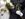 military wedding couple