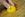 Lemon on Cutting Board