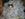 Cute Cat Pictures