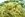 pasta recipes, linguini recipe, linguini recipes