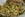 oyster dressing, stuffing recipes, seafood dressing, seafood stuffing recipes