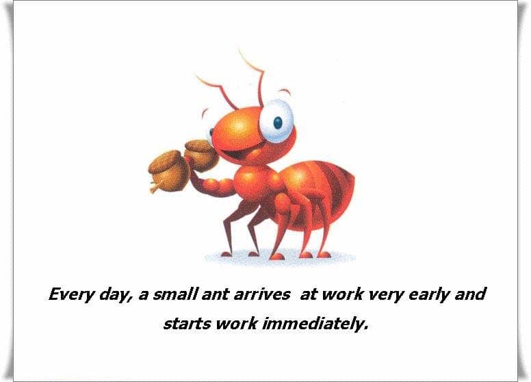 A modern Fable of the Ant - Beliefnet