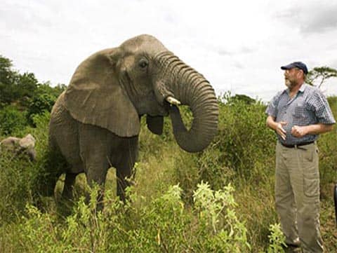 elephant whisperer seduce befriend animal age of wonders 3