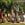 Nurturing Kids' Values in Summer