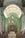 Your Favorite Houses of Worship