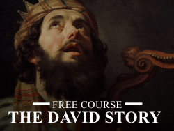 The David Story: Shepherd, Father, King